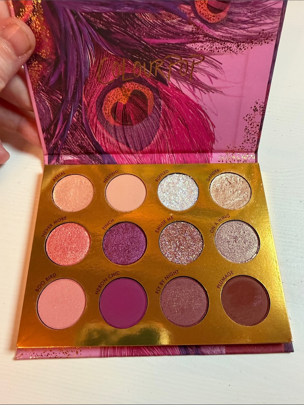 Colourpop Bye Bye Birdie Palette